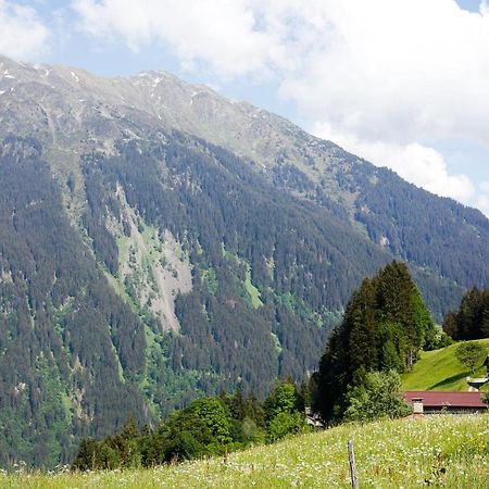 Willa Alpenapart Montafon - Bitschweil Huesle Schruns Zewnętrze zdjęcie